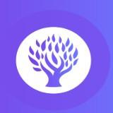 树荫国际安卓版