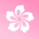 花羽直播网页版