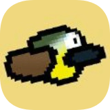 飞扬的班特维(Bem Te Vi)