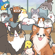 Animal Room（动物小屋）