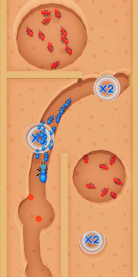 2021070559717621 (1).jpg