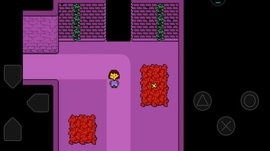 20220409120637282.jpg 897132133.jpg