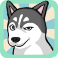 养只二哈不容易