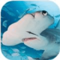 锤头鲨模拟器