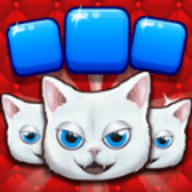 royal puzzle（皇家拼图）