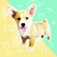 Puppies Cooperation（小狗合作）