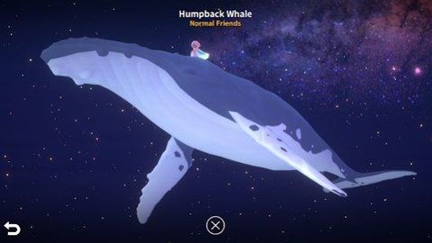 20220624094338827.jpg 323 (5).jpg