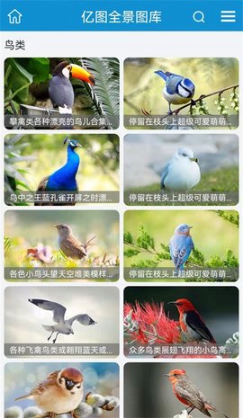 20220706171524489.jpg 3123 (2).jpg