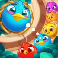 little bird evolution（小鸟的进化）