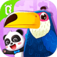 Bird Kingdom（宝宝鸟类认知）