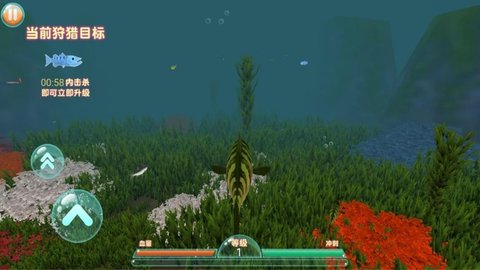 20220912153158179.jpg 2 (2).jpg