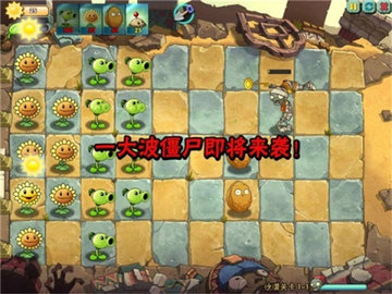 20220914134229636.jpg 2 (5).jpg