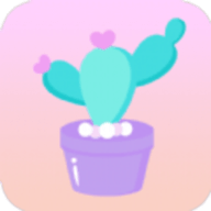 马生菜互动桌面