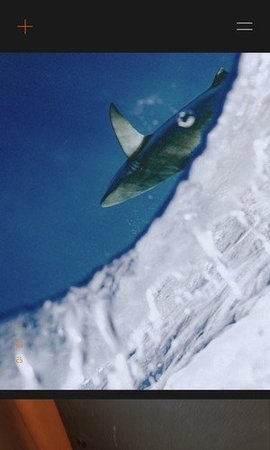 20221021095253343.jpg 1 (2).jpg