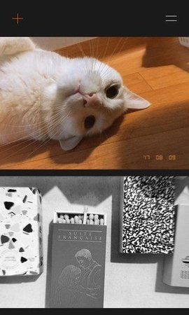 20221021095258273.jpg 1 (5).jpg