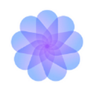 野花直播官网版