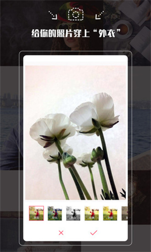 b8c1957576905a2043e2c0ffb3d3604b.jpg LOL手游 截图.jpg