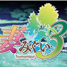 妻中蜜3直装免费版