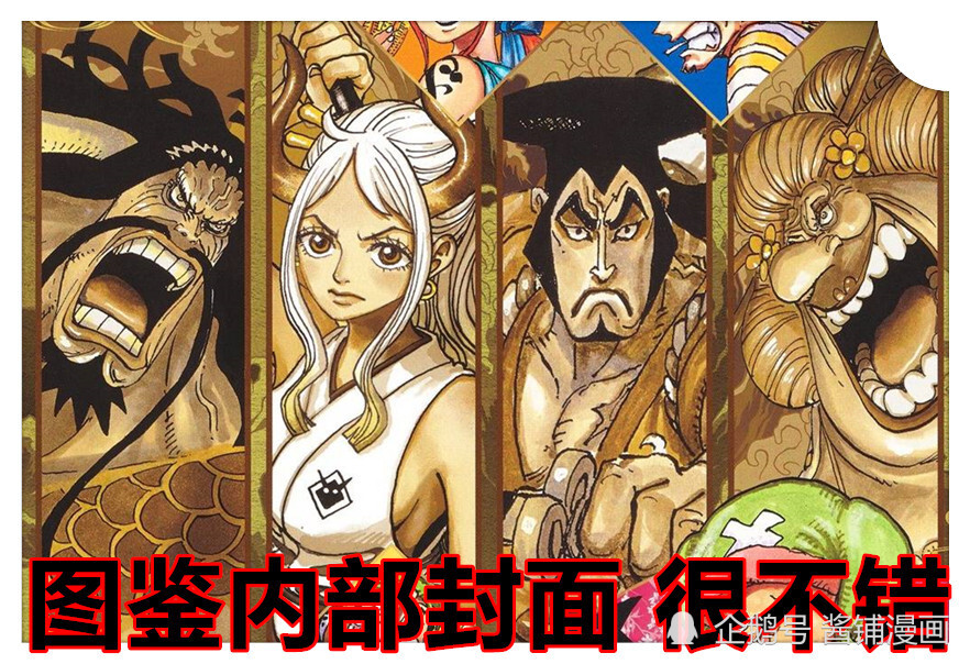 海贼王最新情报，尾田公布阿玉的新生命卡，并解答她吃了何种恶魔果实