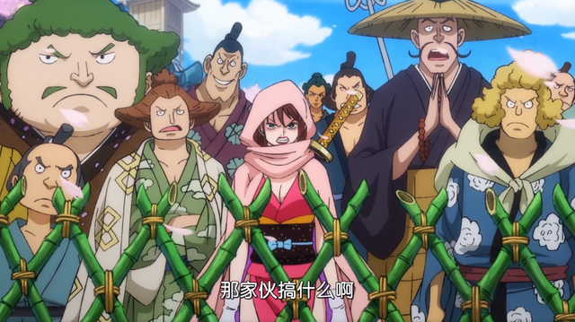 海贼王：光月的忍者军团，不如一个弱女子有情义，小忍的忍者之路