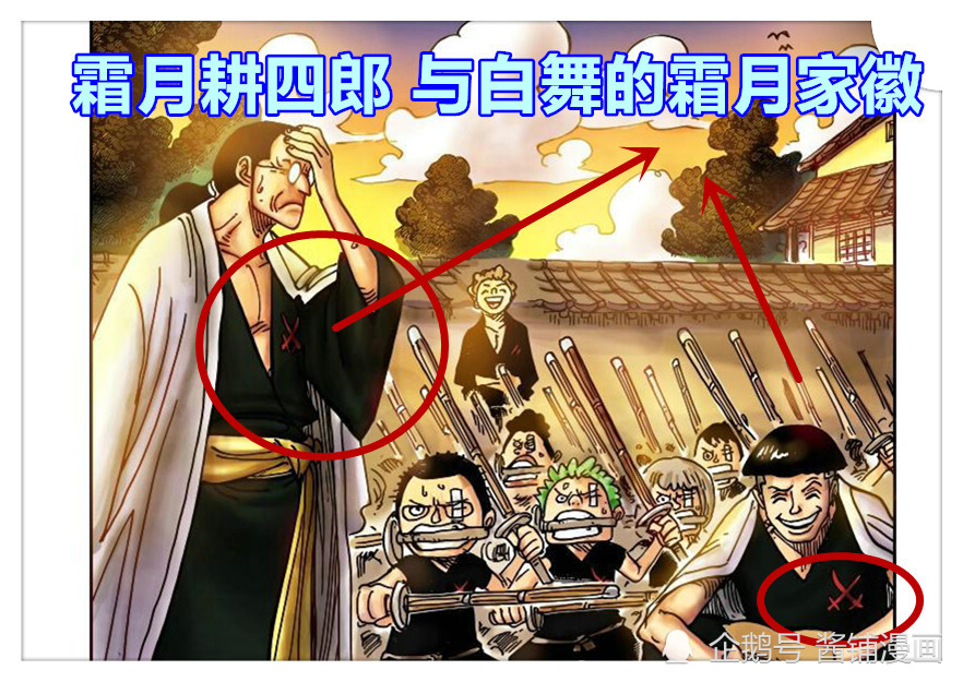 海贼王最新情报，尾田公布霜月康家的生命卡，他是索隆师父故乡的首领