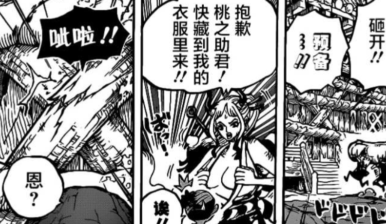 海贼王1012话：索隆全身断裂20多根骨头，桃之助打开了御田的日记