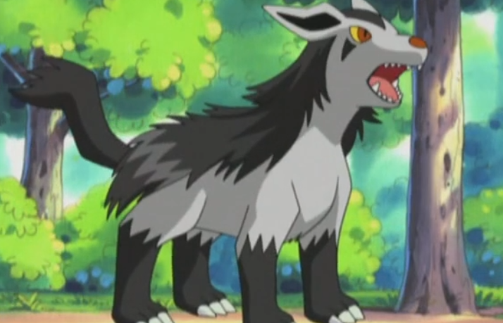 《宝可梦》宝可梦进化是依照什么准则？土狼犬进化成为大狼犬！