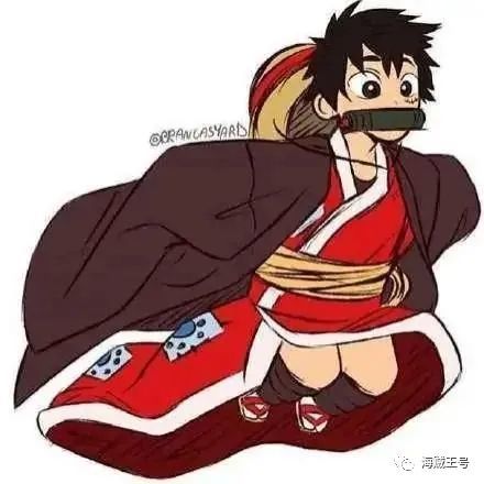 《海贼王》化身《鬼灭之刃》角色，索隆成了双刀，你猜萨博是谁