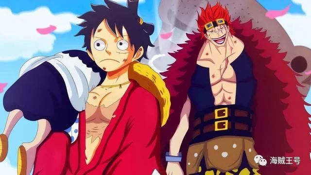 海贼王：罗到底哪里的自信，让香克斯相信他，将路飞交到他的手中