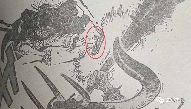 海贼王第1010话：索隆打跪凯多，大妈慌张了，路飞的草鞋成了神器