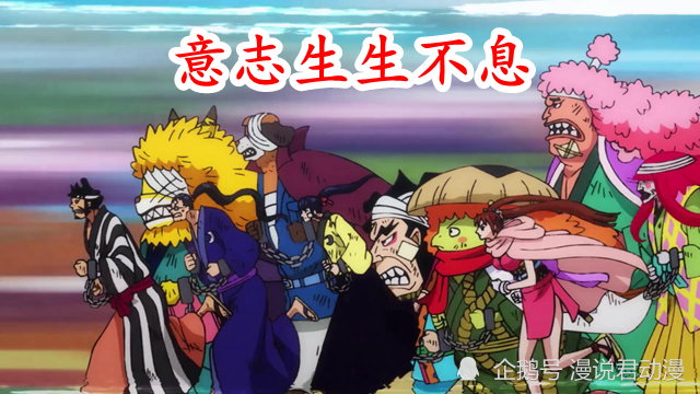 海贼王974集：御田身死，一代传说落幕，但其意志生生不息