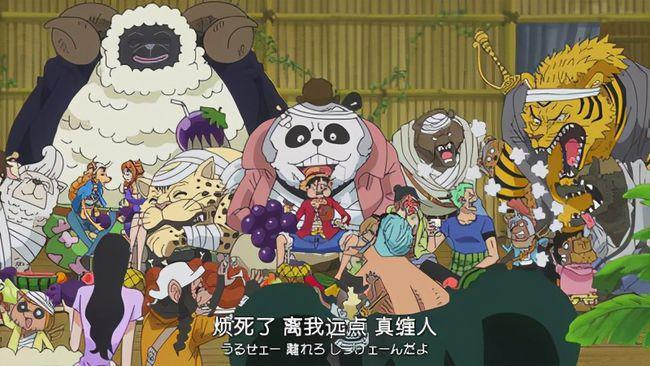 海贼王：支持路飞的5个特殊种族，每个种族都有特殊本领