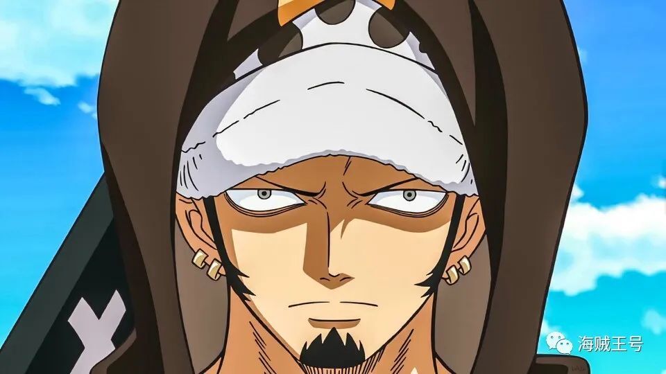 海贼王：如果没有路飞，明哥和黑胡子谁更有戏？罗：确定不是我？