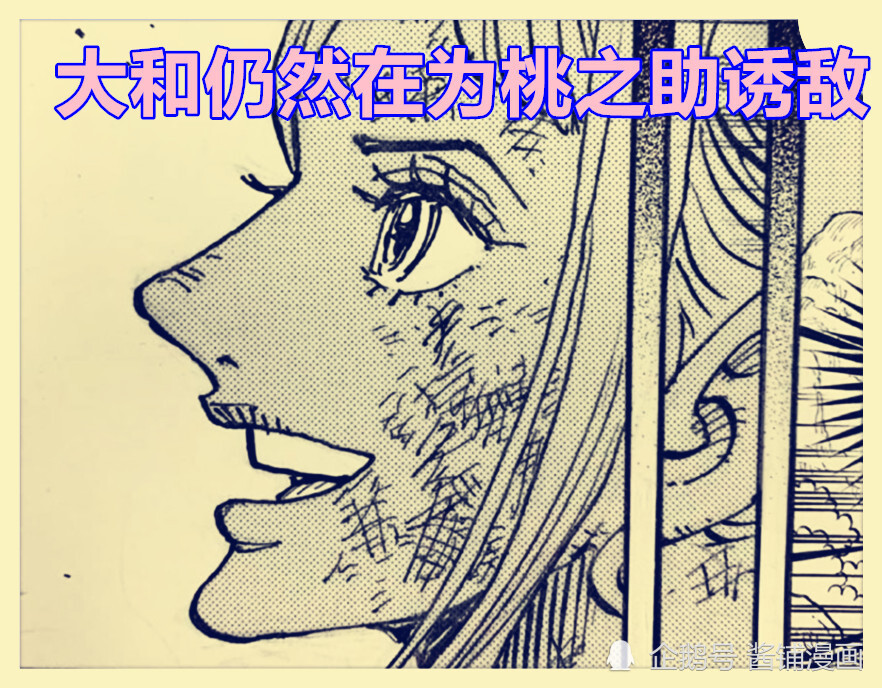 海贼王1014话，凯多确认路飞已掉入海洋，乔巴的蓝波球让奎因再次吃瘪