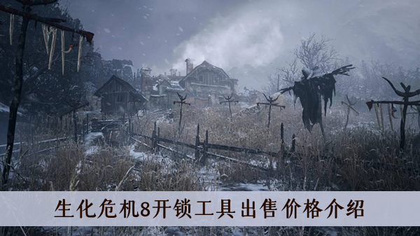 生化危机8开锁工具出售价格是多少-生化危机8开锁工具出售价格介绍