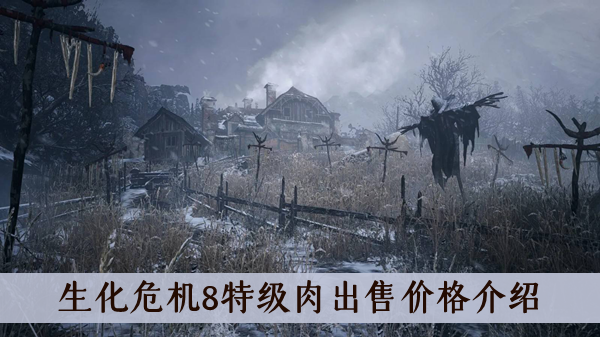 生化危机8特级肉出售价格是多少-生化危机8特级肉出售价格介绍