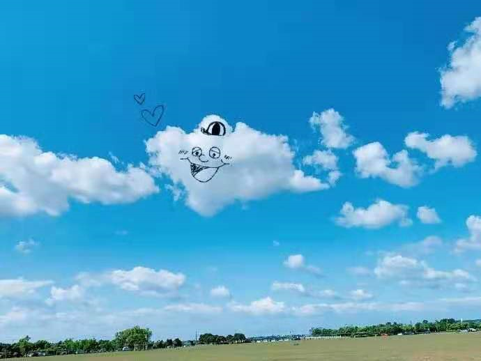 【海贼王】当王路飞跟龟仙人合体时，爆笑如雷了家人们！