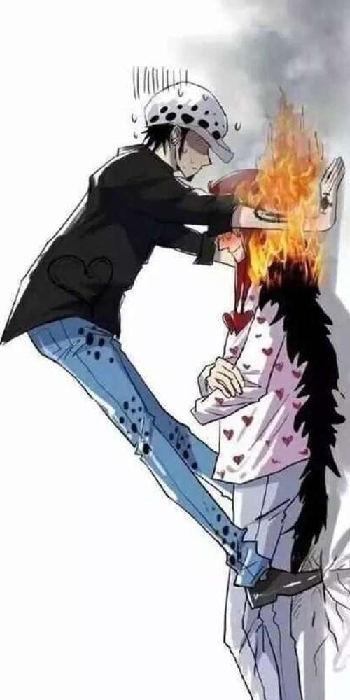 动漫壁纸：海贼王娜美女神手机壁纸，山治的桃花运到了