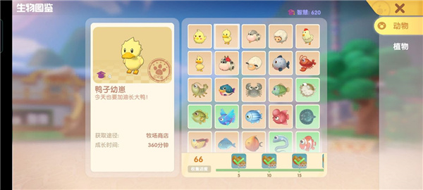 摩尔庄园钓鱼在哪-摩尔庄园手游钓鱼攻略