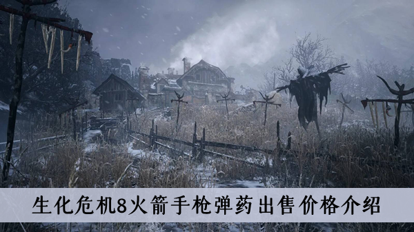 生化危机8火箭手枪弹药出售价格是多少-生化危机8火箭手枪弹药出售价格介绍