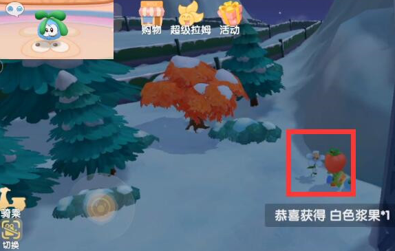 摩尔庄园白色浆果在什么地方-白色浆果固定刷新位置