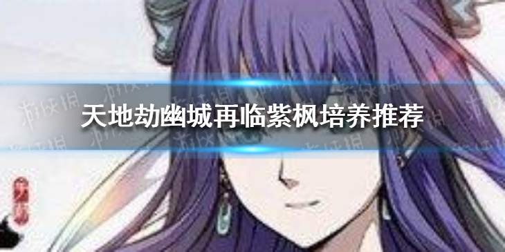 天地劫紫枫怎么样-天地劫幽城再临紫枫培养推荐