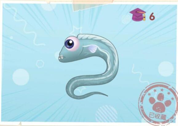 摩尔庄园手游带鱼经常在哪个时间段出没-带鱼位置和出没时间介绍