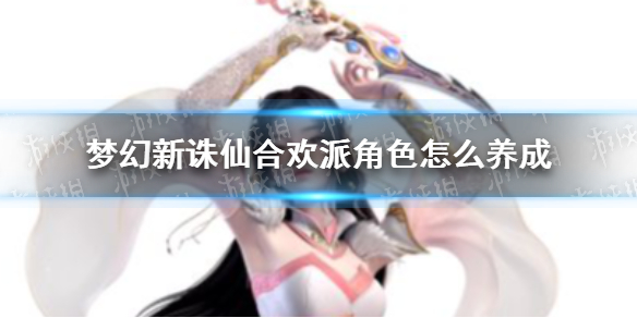 梦幻新诛仙合欢派角色怎么养成-梦幻新诛仙合欢派角色养成推荐