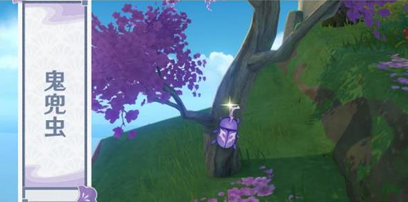 原神鬼兜虫刷新位置具体介绍-原神鬼兜虫刷新位置在哪
