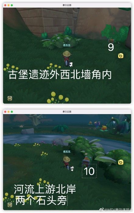 摩尔庄园凯文老师的特训需要怎么做-凯文老师的特训完成方法教学
