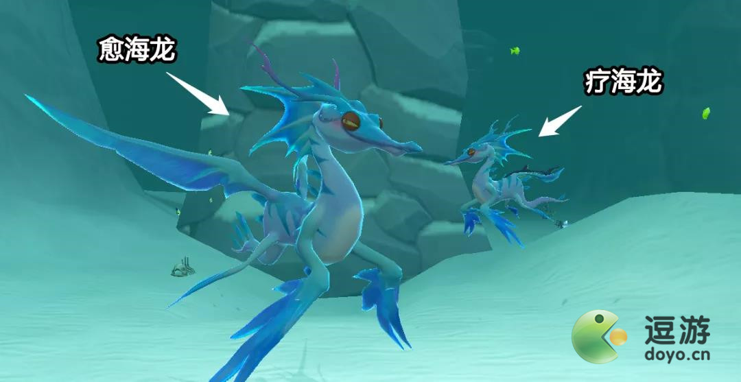 创造与魔法疗海龙资质及分布位置一览