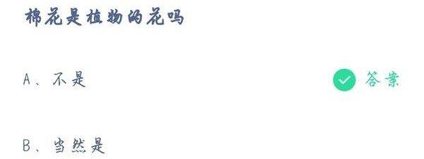 蚂蚁庄园7月29日答案棉花是植物的花吗？