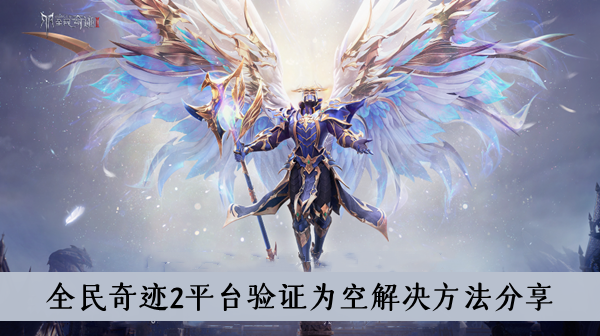 全民奇迹2平台验证为空什么解决-全民奇迹2平台验证为空解决方法分享