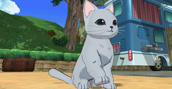 小森生活猫咪好感度提升方法-小森生活猫咪好感度提升介绍